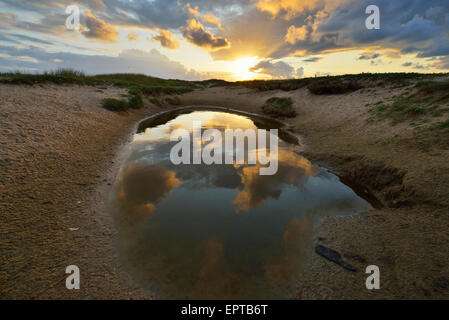 Petit étang avec des dunes au lever du soleil, à l'Est, l'été, l'île de Norderney, Frise orientale, mer du Nord, Basse-Saxe, Allemagne Banque D'Images