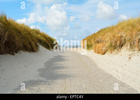 Chemin à travers les dunes de la plage, l'été, l'île de Norderney, Frise orientale, mer du Nord, Basse-Saxe, Allemagne Banque D'Images