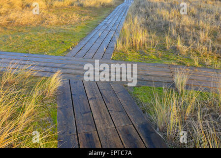 Passage à niveau sur des planches, Chemin promenade entre dunes, Helgoland, Mer du Nord, île, Schleswig Holstein, Allemagne Banque D'Images