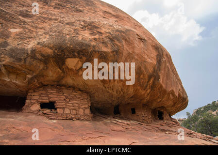 'House on Fire', ruines Puebloan, Mule Canyon, Utah, USA Banque D'Images