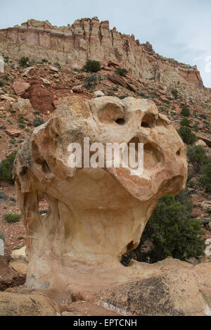 Fonction d'érosion, Capitol Reef National Park, Utah, USA Banque D'Images