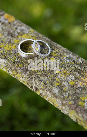 Close-up de Bandes de mariage sur un morceau de bois recouvert de lichen Banque D'Images