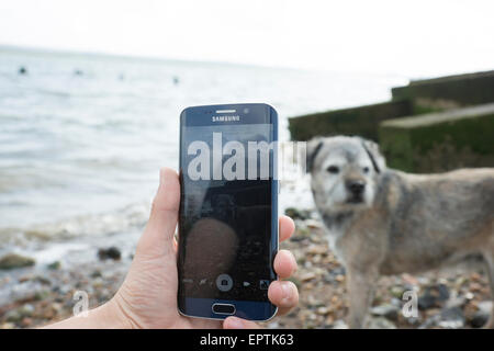 Samsung S6 bord, prise de photos, d'essais avec le nouveau périphérique, atmosphère de détente paisible de palourdes Banque D'Images