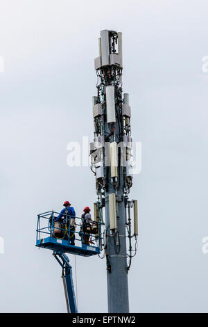 Deux hommes travaillant à partir d'un ascenseur godet sur une tour de téléphonie cellulaire ou mobile dans la région de Modesto en Californie Banque D'Images