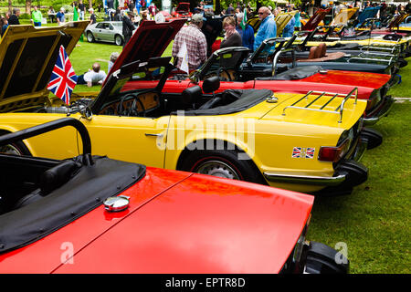 Triumph TR6 Sports Cars sur l'affichage à une voiture britannique répondre à Vancouver Banque D'Images