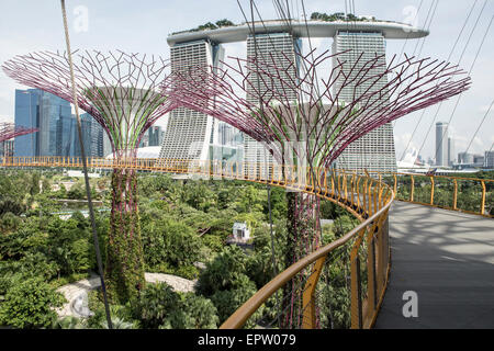 Les gens marchent le long de l'OCBC Skyway dans l'SuperTree Grove à Gardens by the Bay à Singapour Banque D'Images