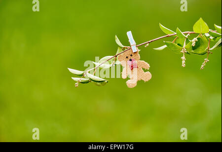 Une idée romantique ; un petit ours en peluche fait main accrochée à une branche dans un champ Banque D'Images