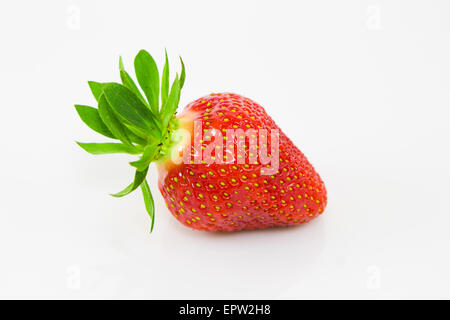 Fraises fraîches et juteuses de la ferme Banque D'Images