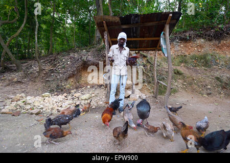 L'homme à nourrir ses poulets, Rivière Froide, Département de l'Ouest, Haïti Banque D'Images