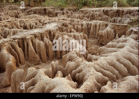 L'érosion sur les berges du Zambèze, Lower Zambezi National Park, Zambie Banque D'Images