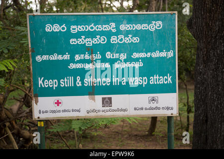 Panneau d'avertissement sur l'attaque de guêpes, Sigiriya, Province du Centre, au Sri Lanka, en Asie Banque D'Images