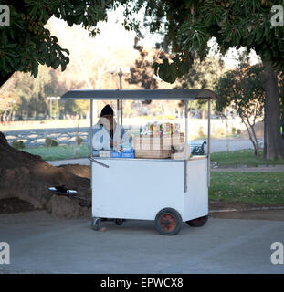 L'homme vend de la crème glacée sous un arbre, Santiago, Chili Banque D'Images