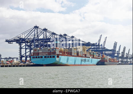 Porte-conteneurs Maersk Eindhoven chargement en conteneur Felixstowe Port,UK. Elle est 366 mètres de long et a un tonnage d'environ 14 Banque D'Images