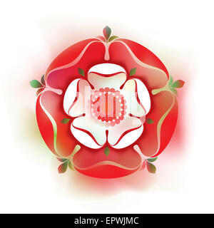 La Dynastie Tudor Rose - Illustration - l'ombre rouge symbole anglais rose - la Maison de Lancastre, White Rose - la maison d'York Banque D'Images