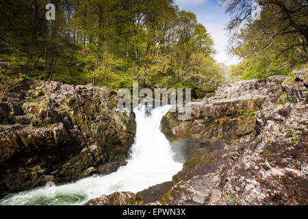 La rivière Brathay dégringole plus de Torver vigueur cascade, près de Skelwith Bridge, Lake District, Cumbria Banque D'Images