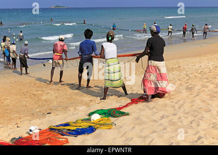 Filets de pêche traditionnels hauling Nilavelli plage , près de Trincomalee, province orientale, au Sri Lanka, en Asie Banque D'Images