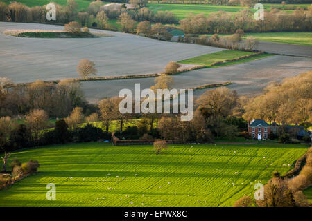 Au début du printemps en soirée à South Harting, West Sussex, Angleterre. Banque D'Images