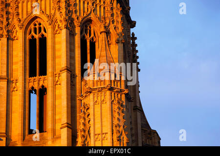 Bâtiment Wills, Université de Bristol, Angleterre, Royaume-Uni Banque D'Images