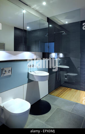 Chambre d''une salle de douche, rez-de-chaussée inférieur dans Tresithney, Cornwall, UK