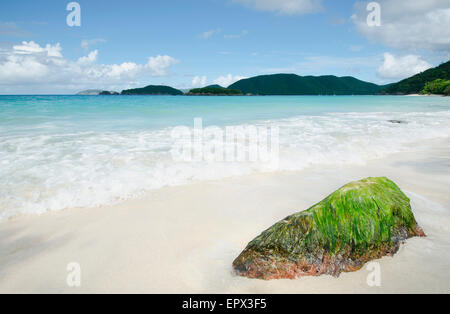 Etats Unis, Iles Vierges, Trunk Bay, Saint John, vue panoramique du littoral Banque D'Images
