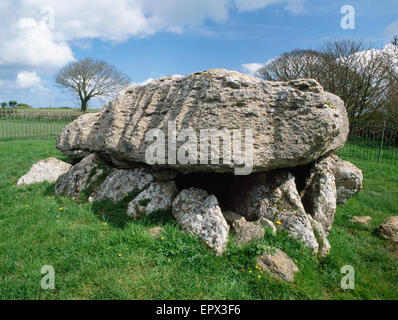 Lligwy neollithic chambre funéraire, Llangefni, Anglesey, au nord du Pays de Galles, Royaume-Uni Banque D'Images