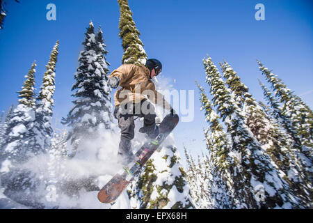 USA, Montana, Whitefish, Snowboarder dans l'air contre les arbres enneigés Banque D'Images