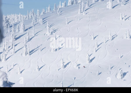 USA, Montana, Whitefish, pente de ski avec snowy trees Banque D'Images