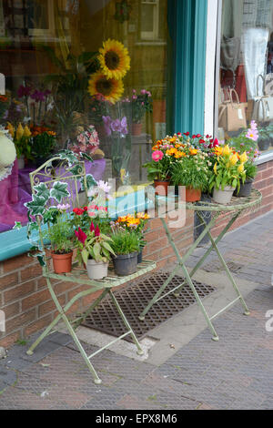 Affichage de fleurs sur une chaise et table en rue. Stone Staffordshire, Angleterre. Banque D'Images