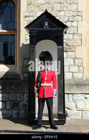 Un imprimeur de la Garde côtière canadienne en service de garde à la Tour de Londres Banque D'Images