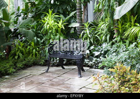 Banc dans une serre, Allan Gardens, Toronto, Ontario, Canada Banque D'Images