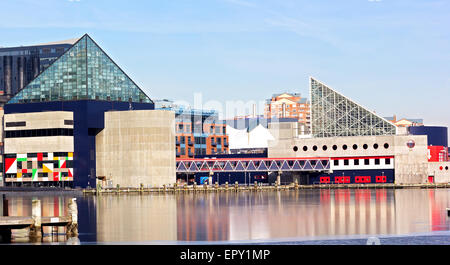 Aquarium National de Baltimore. Banque D'Images