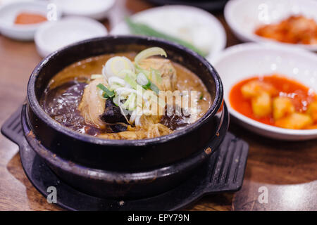 Soupe de poulet Ginseng Banque D'Images