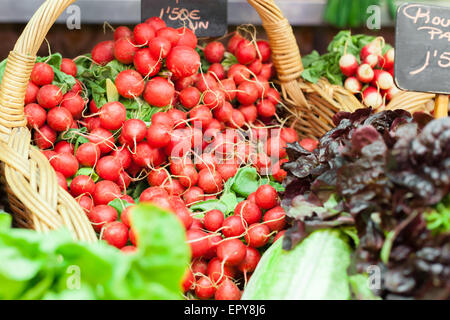 Produits frais bio navets en panier à l'échoppe de marché, le marché de la Boqueria, Barcelone, Catalogne, image Spaincolor, canon 5DmkII Banque D'Images