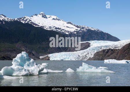 Vue paysage de l'Alaska Glacier Mendenhall dans Juneau Banque D'Images