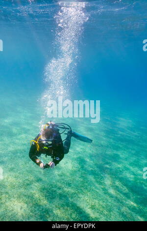 Seul scuba diver, Marsa Alam, Red Sea, Egypt Banque D'Images