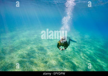 Seule la plongée sous-marine, Marsa Alam, Red Sea, Egypt Banque D'Images