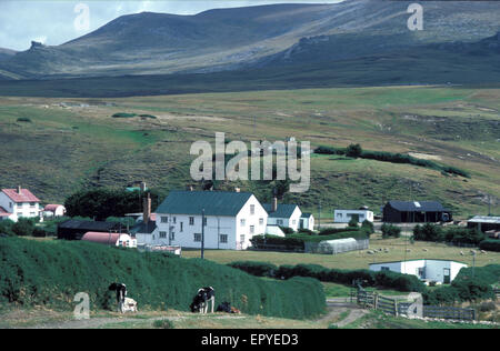 Une maison typique,Port Howard,les Îles Falkland (territoire britannique d'outre-mer), dans l'Atlantique Sud.Photo prise 1986 Banque D'Images