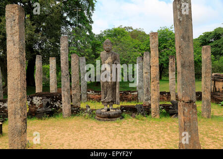 Statue de Bouddha Debout en Atadage bâtiment dans le quadrangle, Site du patrimoine mondial de l'UNESCO, ancienne ville de Polonnaruwa, Sri Lanka Banque D'Images