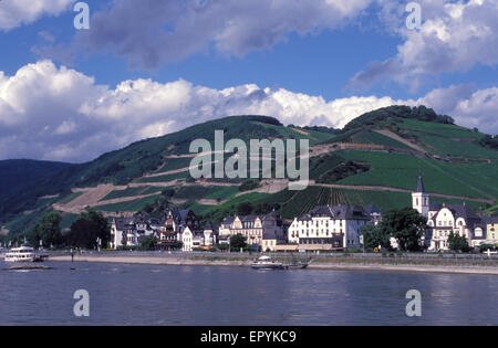 DEU, l'Allemagne, la région du Rheingau, vue d'Assmannshausen au bord du Rhin. DEU, Deutschland, Rheingau, Blick auf Assmannshausen am Rhei Banque D'Images