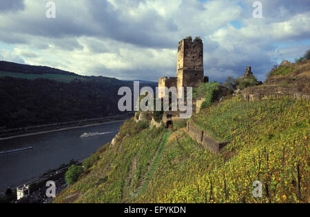 DEU, Allemagne, Kaub au bord du Rhin, le château de Gutenfels. DEU, Deutschland, Kaub am Rhein, Burg Gutenfels. Banque D'Images