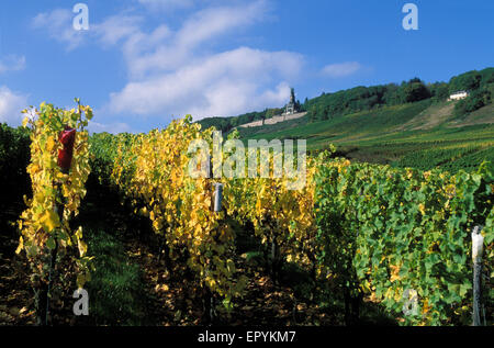 DEU, l'Allemagne, la région du Rheingau, Ruedesheim au bord du Rhin, vue de Niederwald monument. DEU, Deutschland, Rheingau, Ruedesheim Banque D'Images