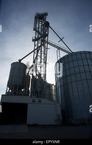 Lecture, Kansas, États-Unis, 3 mai 2014 l'élévateur à grain. Dans le commerce des céréales, un élévateur à grain est une tour contenant un élévateur à godet ou un convoyeur pneumatique, qui ramasse des céréales d'un niveau inférieur et le dépose dans un silo ou d'autres installations de stockage. Il peut également signifier que les organisations d'exploiter ou contrôler plusieurs silos individuels, dans des endroits différents. L'ensemble de ce complexe a été reconstruite après une tornade F3 détruit la ville 2 ans plus tôt Crédit : MArk Reinstein Banque D'Images