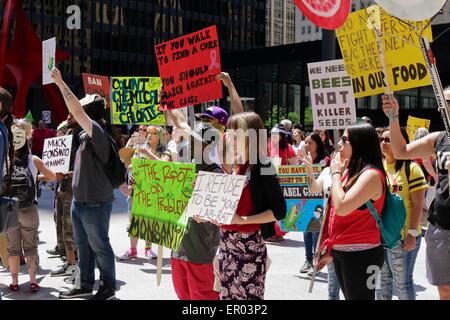 Chicago, USA 23 mai 2015. Des manifestants anti-OGM à la Marche contre Monsanto en protestation Plaza fédérale aujourd'hui. Les manifestants affirment les cultures alimentaires génétiquement modifiés sont dangereux pour la santé de ceux qui les consomment. Les cultures génétiquement modifiées ont été en usage depuis environ vingt ans. Credit : Todd Bannor/Alamy Live News Banque D'Images