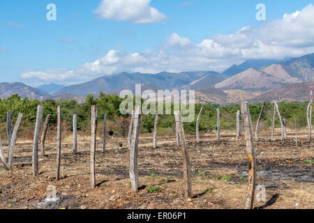 Voir de hauts plateaux du centre et les montagnes de la Sierra de las Minas au Guatemala Banque D'Images