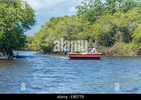 Ferry entre Monterrico et La Avellana Guatemala via le canal de Chiquimulilla à travers la mangrove Banque D'Images