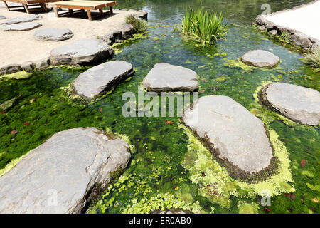 Jardin japonais Banque D'Images