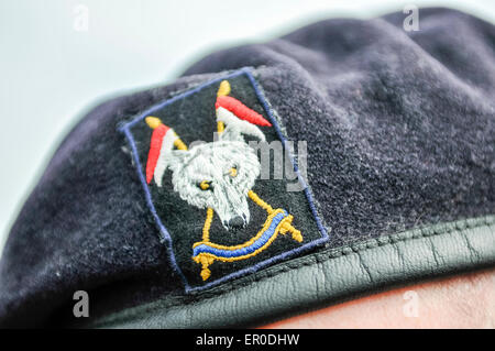 L'emblème du loup sur l'insigne de béret écossais et irlandais du nord la Yeomanry Crédit : Stephen Barnes/Alamy Live News Banque D'Images