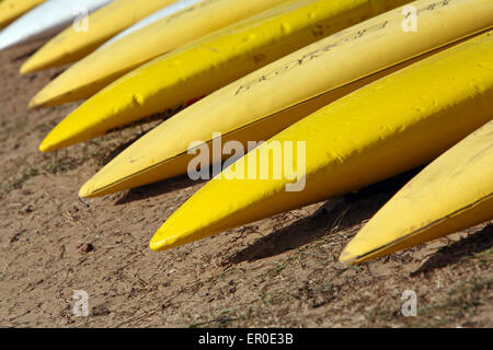 Surf Life Saving bande au cours d'un carnaval de surf. Rivier, Victoria, Australie. Banque D'Images