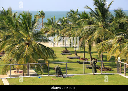 Amaya Beach Resort and Spa Hotel, Pasikudah Bay, province de l'Est, Asie, Sri Lanka tendant personnel sedum grass roof garden Banque D'Images