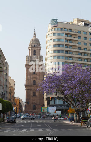 La cathédrale de Málaga, Andalousie, espagne. Banque D'Images